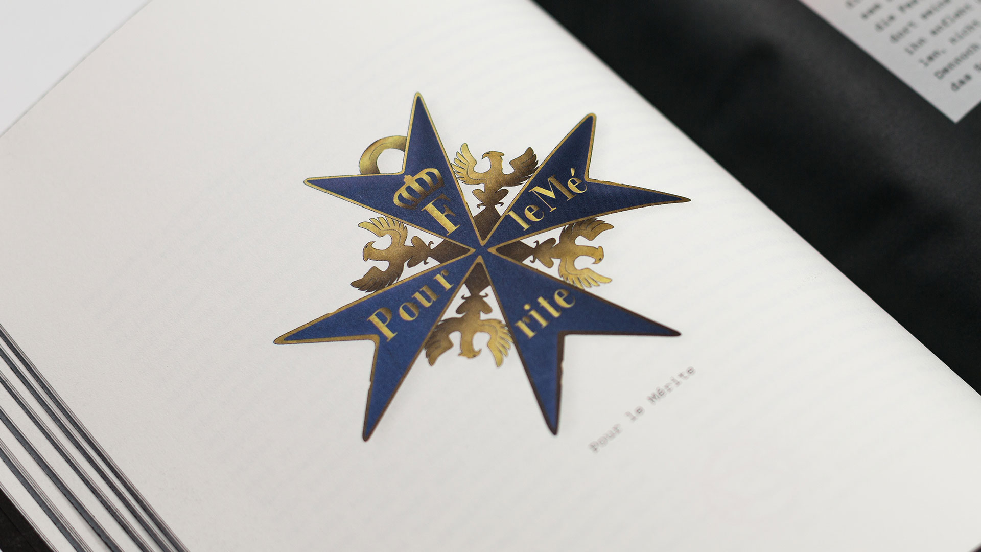 portfolio_23_Bachelor_X